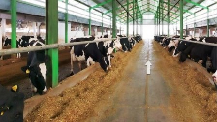 Rritet numri i fermave ne Shqiperi